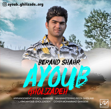 ایوب قلی زاده برند شهر